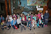 В музее леса